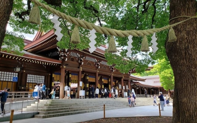 Vẻ đẹp của đền Meiji Jingu - ngôi đền cổ linh thiêng tại Nhật Bản