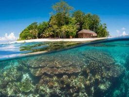 Du lịch đảo Sipadan - chinh phục hòn đảo đẹp nhất Malaysia